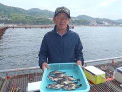 須磨海づり公園 落とし込み釣果