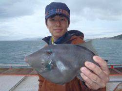 神戸市立須磨海づり公園　良型ウマヅラハギ