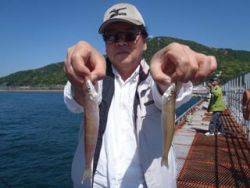 神戸市立須磨海づり公園 キス釣果