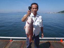 神戸市立須磨海づり公園　コブダイ 57cm…