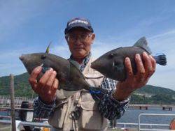神戸市立須磨海づり公園　ウマヅラ