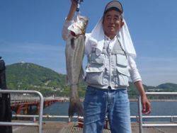 神戸市立須磨海づり公園　ウキ流しでスズキ