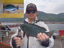 神戸市立須磨海づり公園　グレ　記録賞！　3…