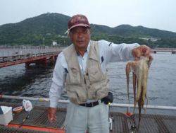 神戸市立須磨海づり公園　マダコ　1250g…