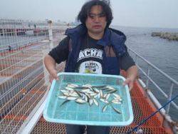 神戸市立須磨海づり公園 サビキで豆アジ釣れ…