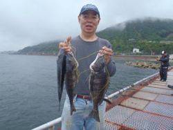 神戸市立須磨海づり公園　落とし込みでチヌ