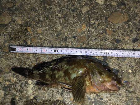 林崎周辺ランガン