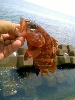 たどり着いたら♪