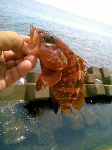 たどり着いたら♪