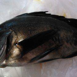 雑賀崎付近の堤防にて