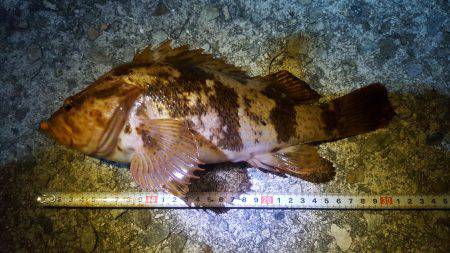 爆風の中、未知との遭遇