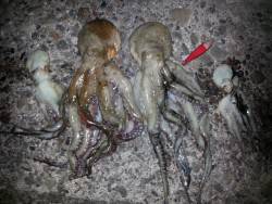 ズドン！が 忘れられなくて。。。