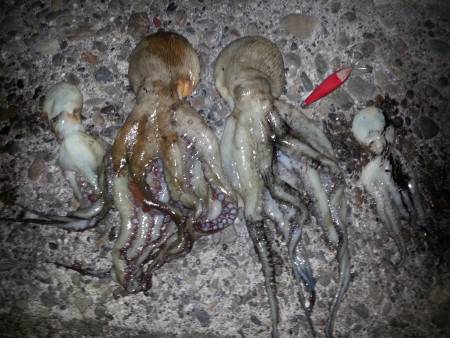 ズドン！が 忘れられなくて。。。