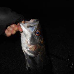 マイクロベイトパターン？