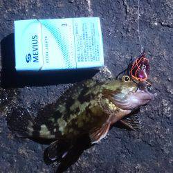 チニングでガッシー