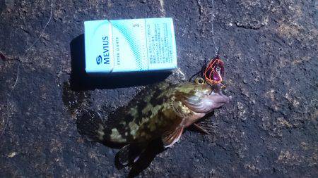 チニングでガッシー