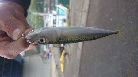 楽しいライトゲーム