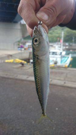 楽しいライトゲーム