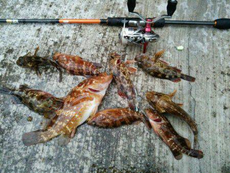 大漁、ライトロック