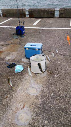 マメ、マメ、マメ、マメ 豆！