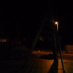 銀箔竜を捕獲せよ