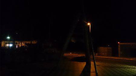 銀箔竜を捕獲せよ