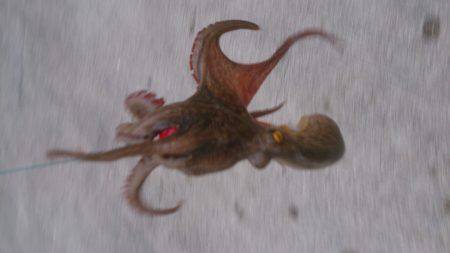 デカイノノガシタ