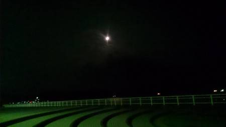 ラストハルタチ