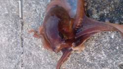 当たり多かったです！