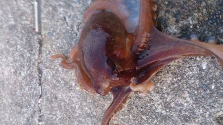 当たり多かったです！