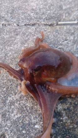 当たり多かったです！