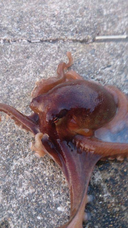 当たり多かったです！