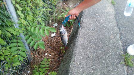 もう帰ろうと思ったら