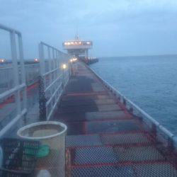 公園の落とし込み