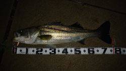 またまた記録更新