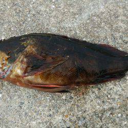 アカン日や…(-_-;)