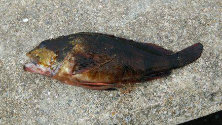 アカン日や…(-_-;)