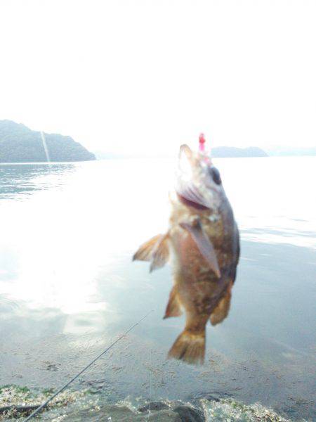 久しぶりに釣れました