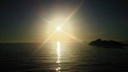 群れがいないと。