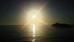 群れがいないと。