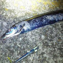 仕事帰りに軽く釣行