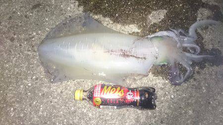 初めての場所で！