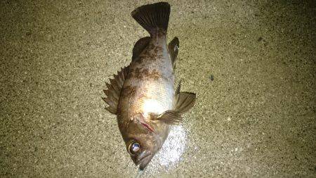 風雨にも負けず！