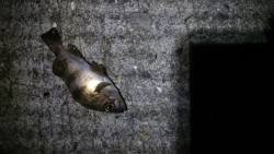 大潮に釣れない。