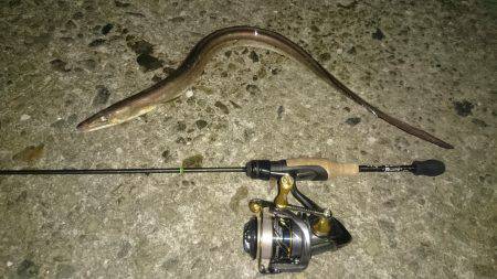 アジング釣行記