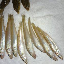 永遠に当りが続く