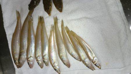 永遠に当りが続く