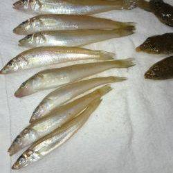 永遠に当りが続く