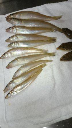 永遠に当りが続く