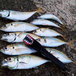 海面をライトで照らすのはやめてください